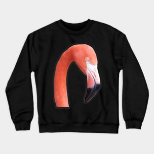 Caribbean Flamingo Crewneck Sweatshirt